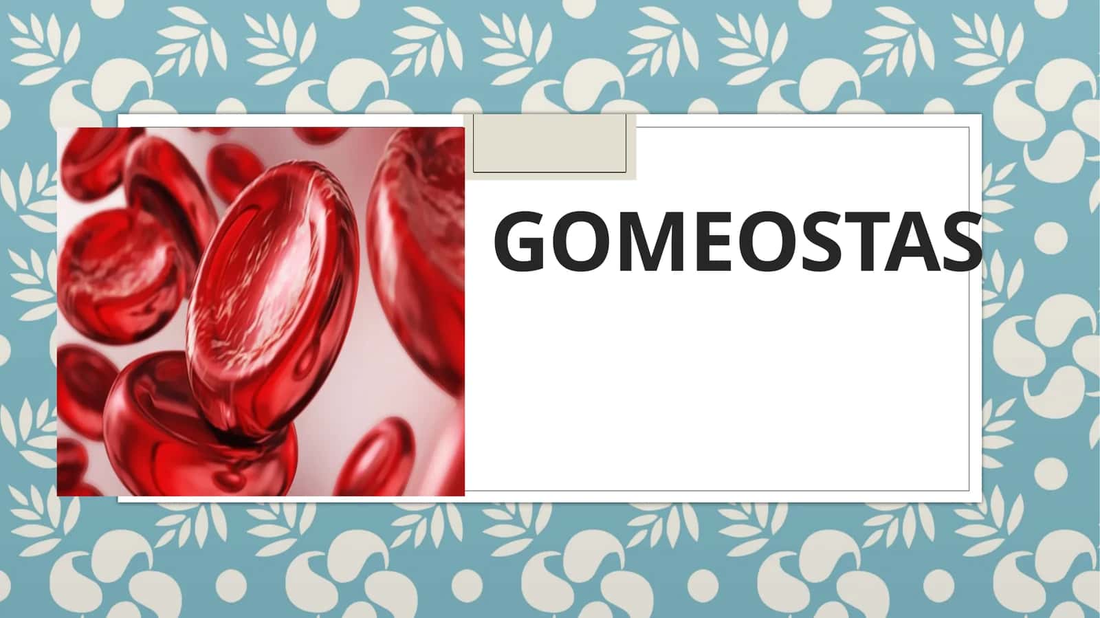 Gomeostaz