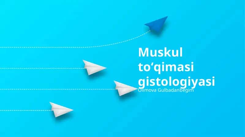 Muskul toʻqimasi gistologiyasi