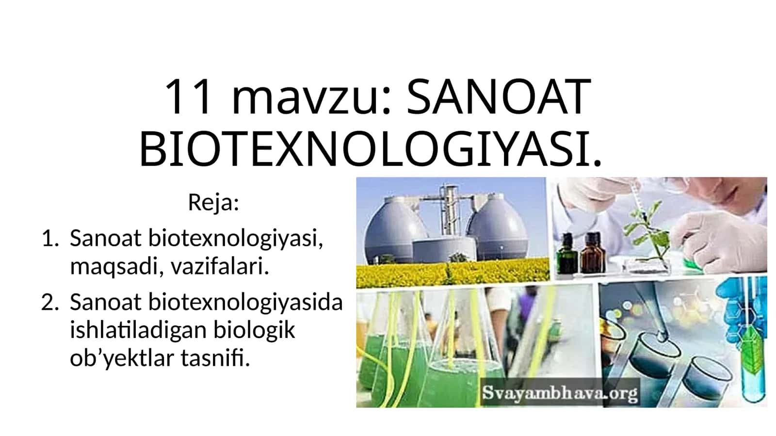 Sanoat biotexnologiyasi