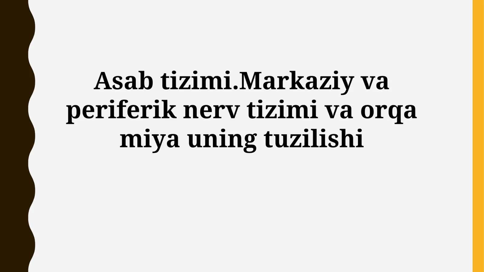 Asab tizimi.Markaziy va periferik nerv tizimi va orqa miyauningtuzilishi