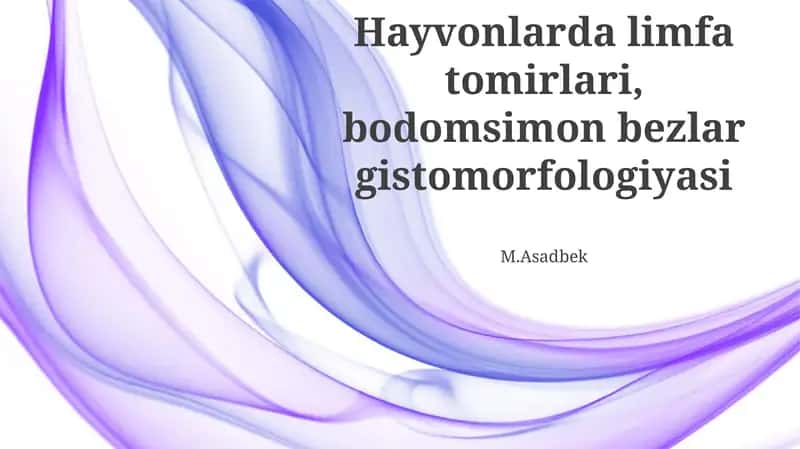 Hayvonlarda limfa tomirlari, bodomsimon bezlar gistomorfologiyasi