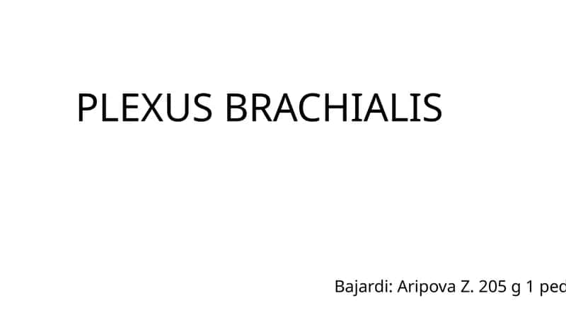 PLEXUS BRACHIALIS