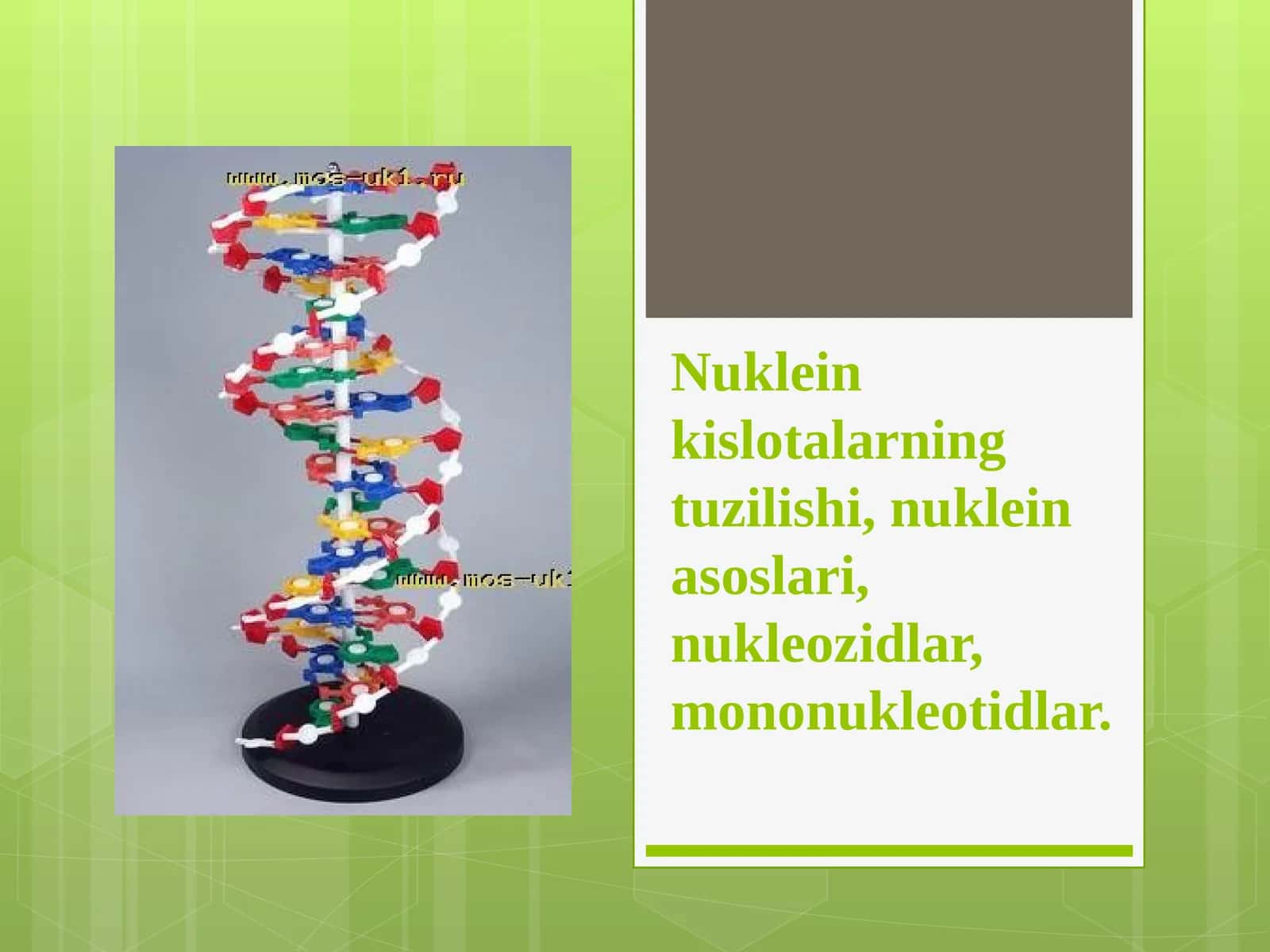 Nuklein kislotalarning tuzilishi,nuklein asoslari,nukleozidlar,mononukleotidlar.
