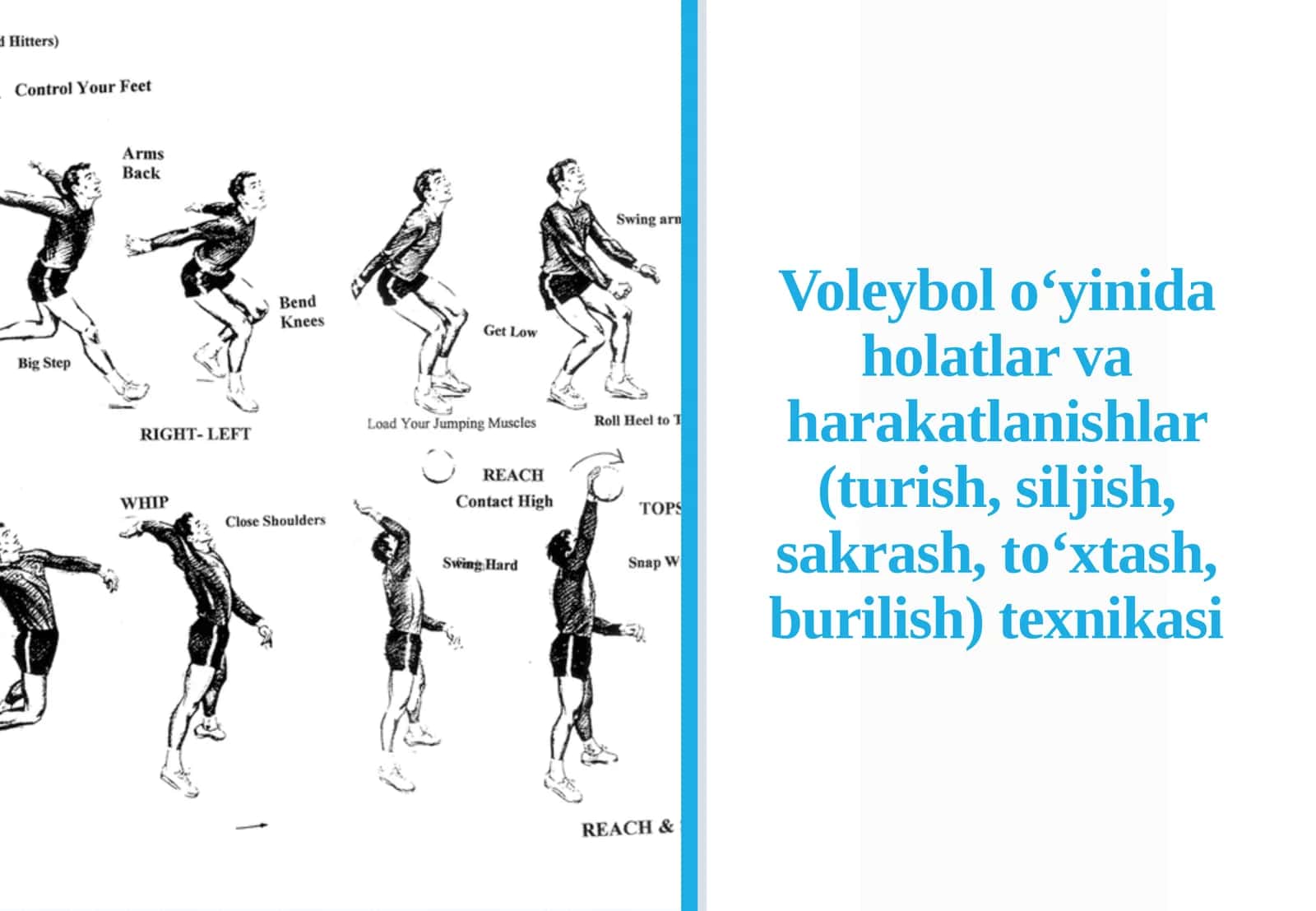 Voleybolo'yi na Voleybolda Asosiy Turish Holatlar va Harakatlanish Teknikasi