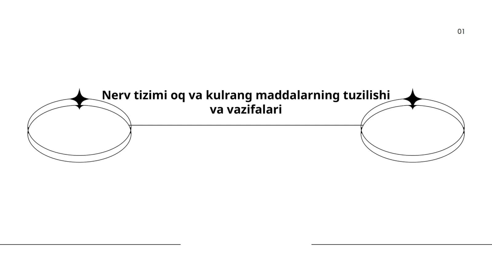 Nerv tizimi oq va kulrang maddalarning tuzilishi va vazifalari