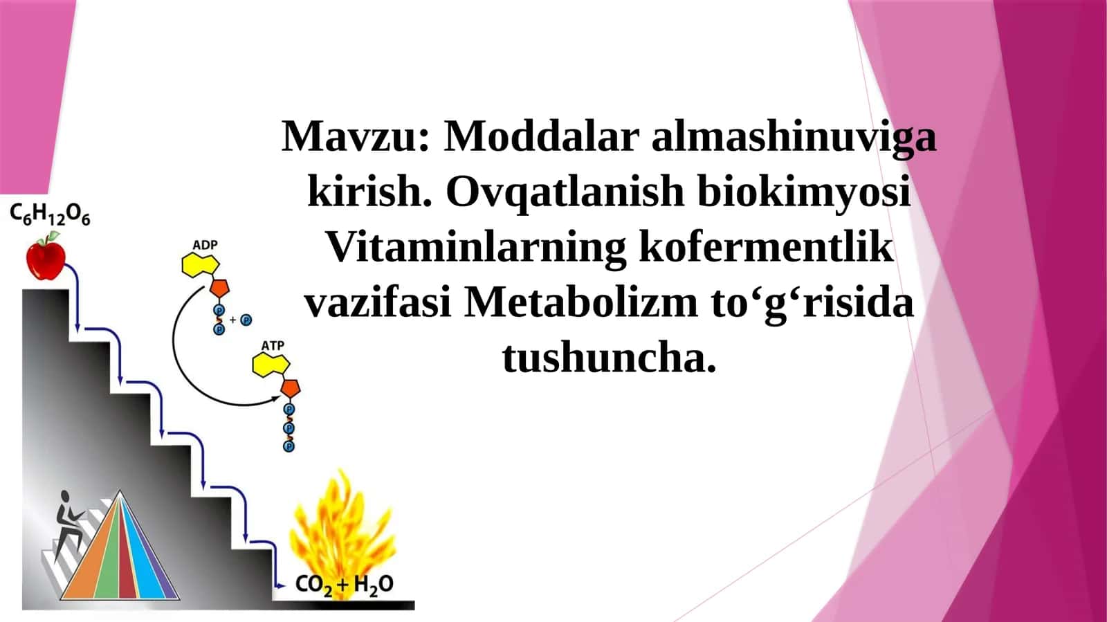 Moddalar almashinuviga kirish. Ovqatlanish biokimyosi