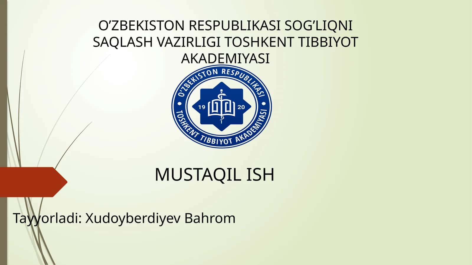Chanoq kamari va oyoqning erkin suyaklari