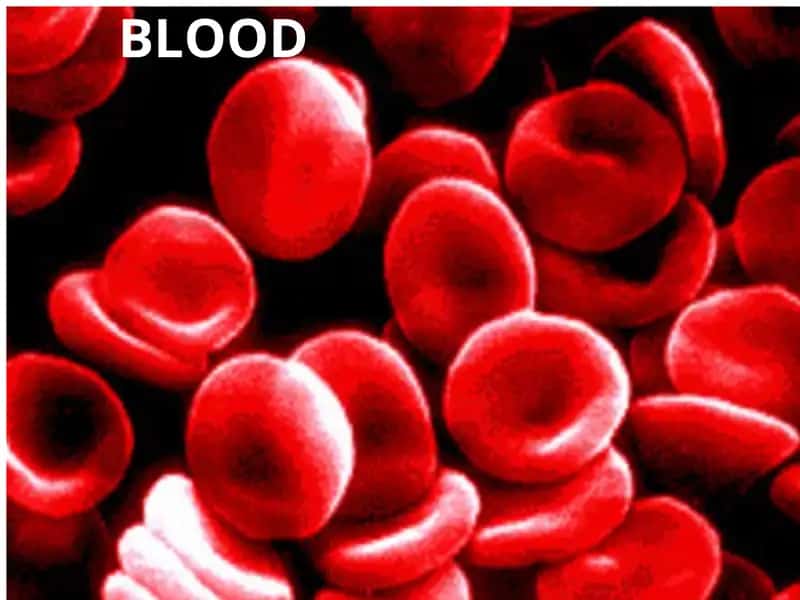 blood