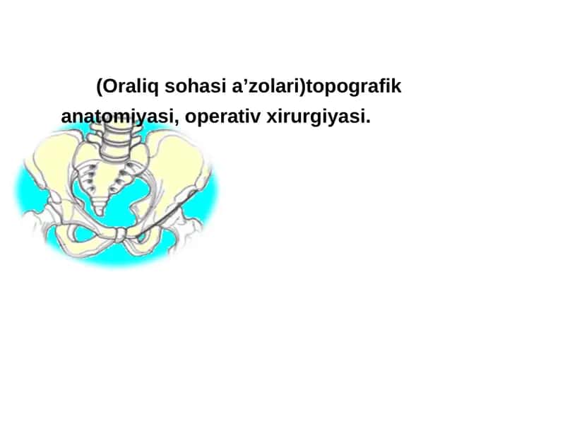 Оралиқ топографик анатомияси