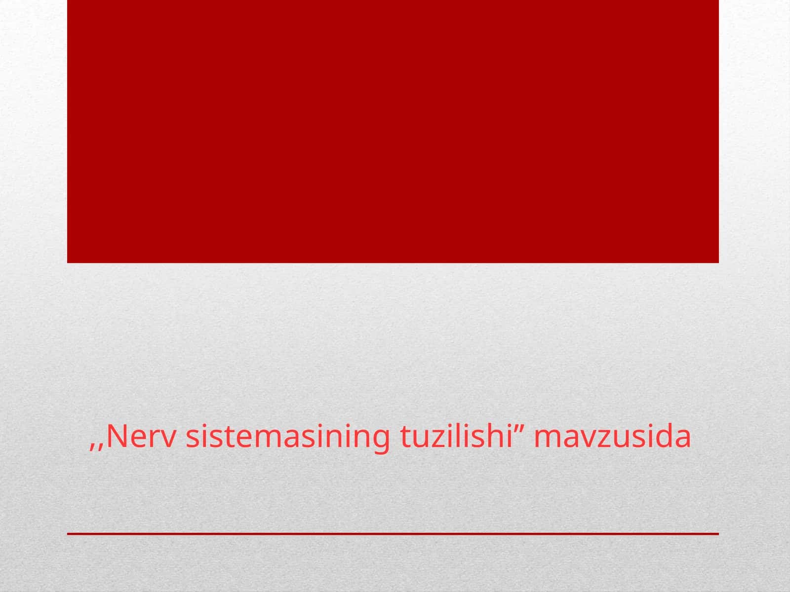 Nerv sistemasi tuzilishi to’g’risida umumiy ma’lumot