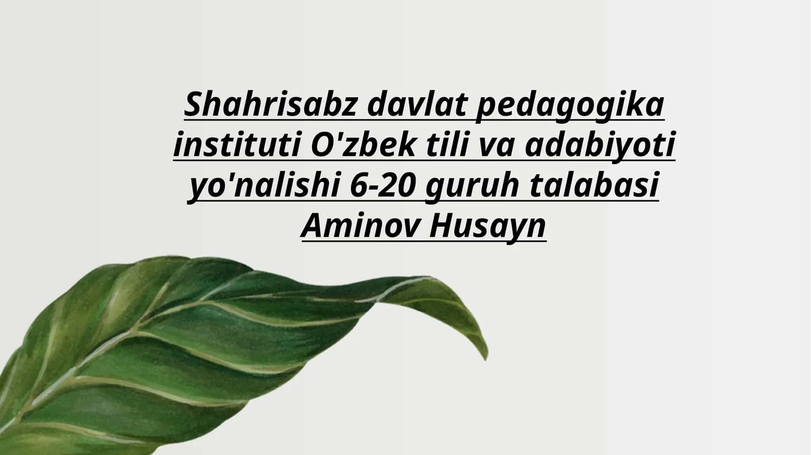 Lison ut-tayr