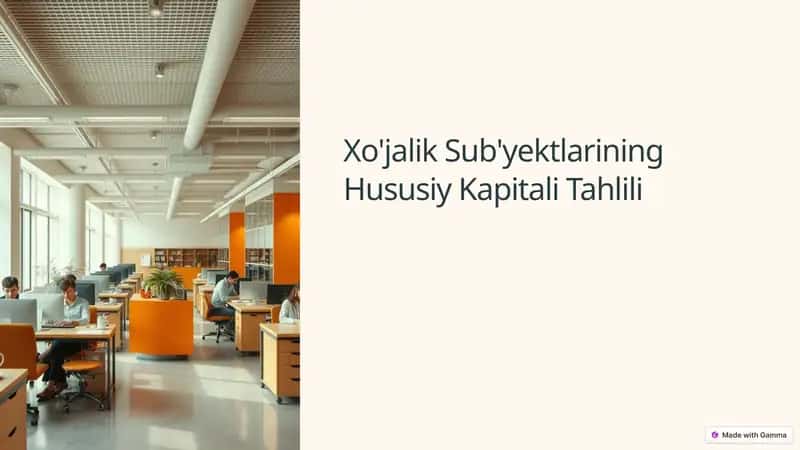 Xo'jalik Sub'yektlarining Hususiy Kapitali Tahlili