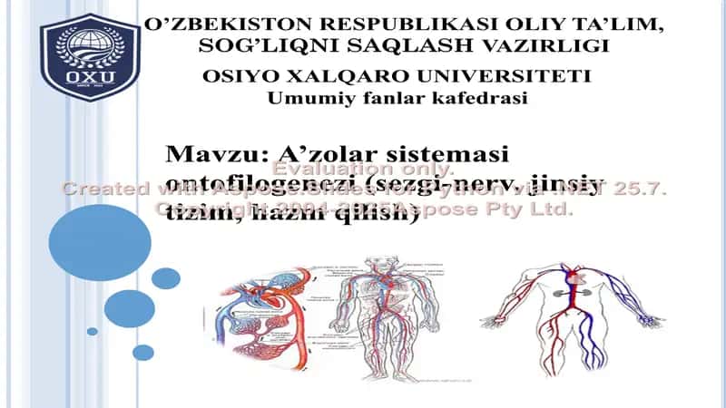 A'zolar sistemasi ontofilogenezi