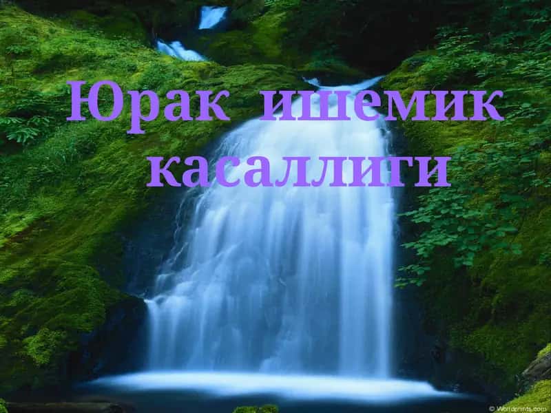 Юрак ишемик касаллиги