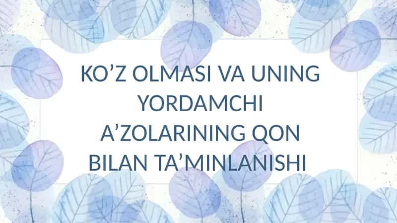 Ko'z olmasi va uning yordamchi a'zolarning qon bilan ta'minlanishi