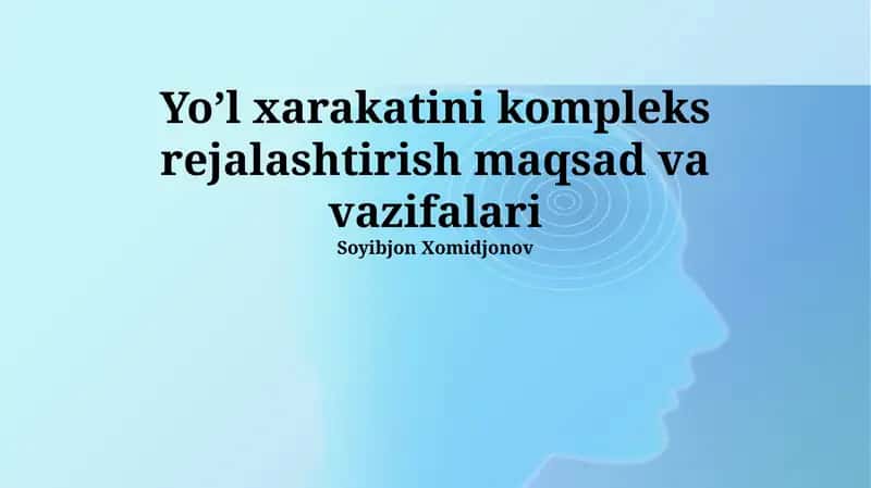 Murakkab Yo'l Harakati Rejalashtirishning Vazifalari