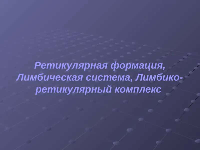 Ретикулярная формация, Лимбическая система, Лимбико-ретикулярный комплекс