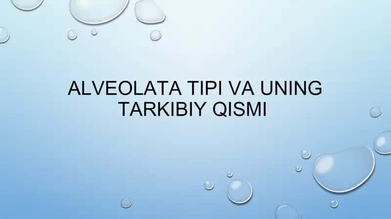 Alveolata tipi va uning tarkibiy qismi