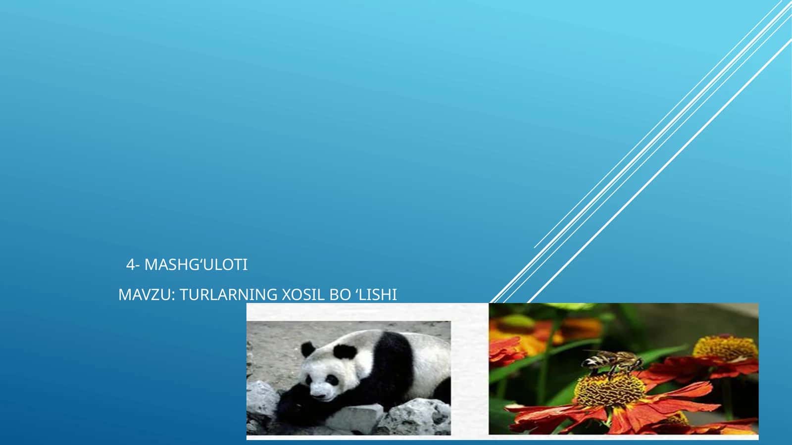 Tur-Tirik Organizmalar Tizimati