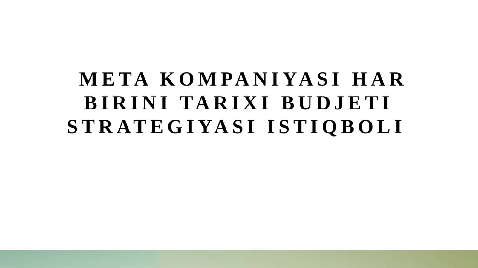 Metakompaniyasining Budjet va Moliyaviy Boshqaruv