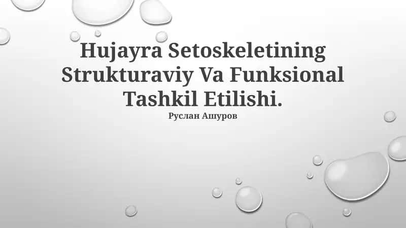 Hujayra Setoskeletining Strukturaviy Va Funksional Tashkil Etilishi