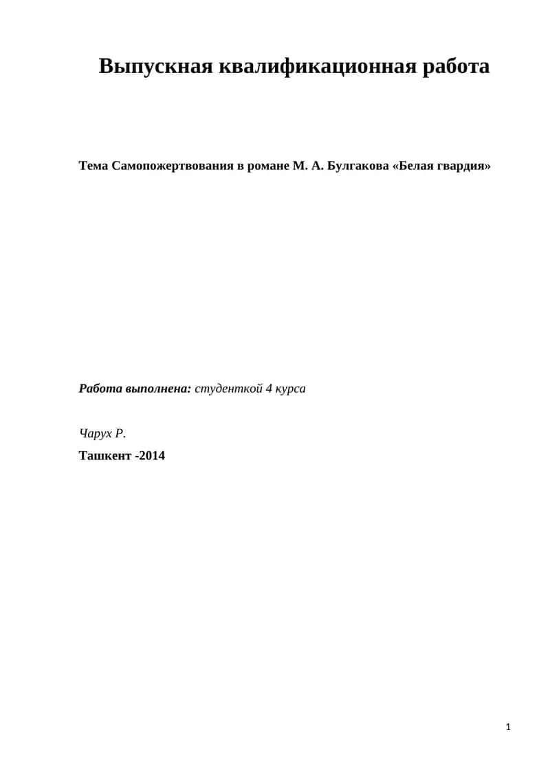 Выпускная квалификационная работа