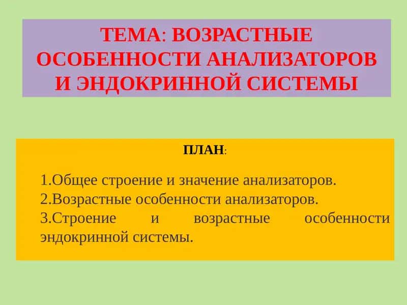 ВОЗРАСТНЫЕ ОСОБЕННОСТИ АНАЛИЗАТОРОВ И ЭНДОКРИННОЙ СИСТЕМЫ