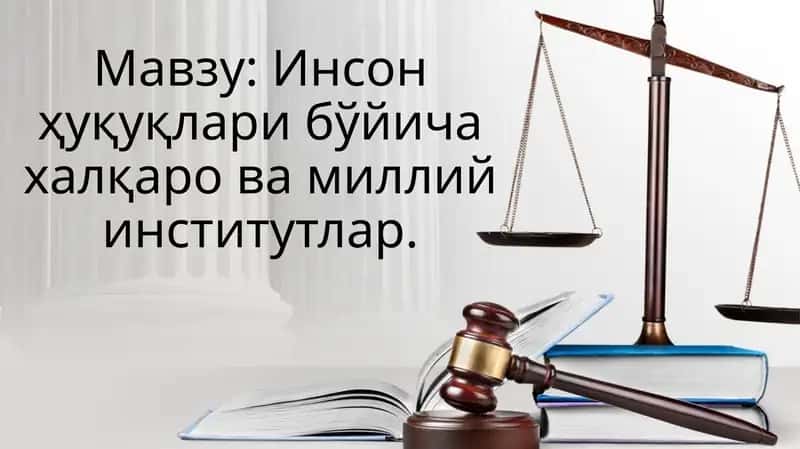 Инсон ҳуқуқлари бўйича халқаро ва миллий институтлар.