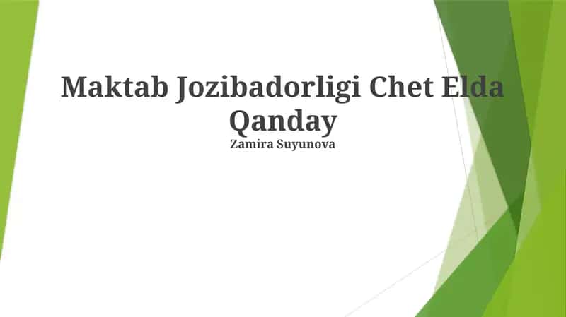 Maktab Jozibadorligi Chet Elda Qanday