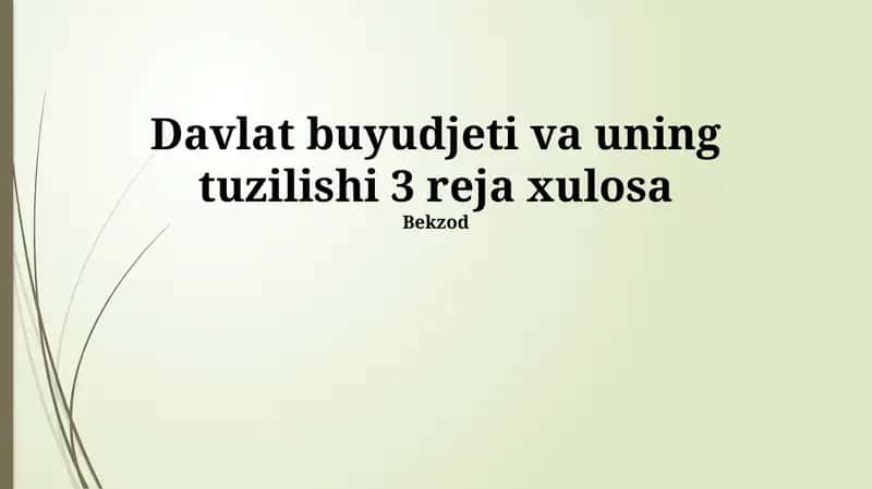 Davlat buyudjeti va uning tuzilishi 3 reja xulosa