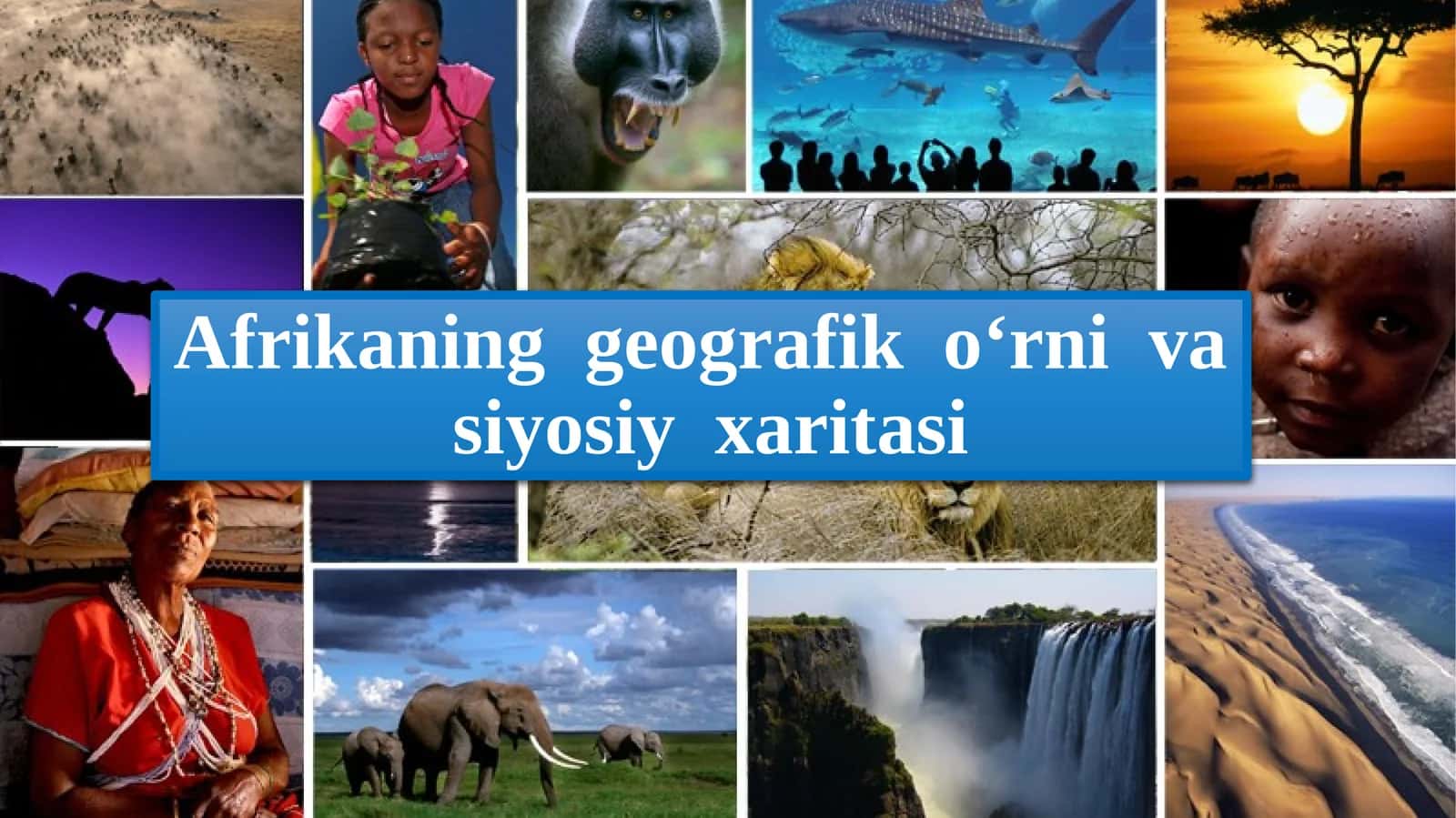 Afrikaning geografik o‘rni va siyosiy xaritasi