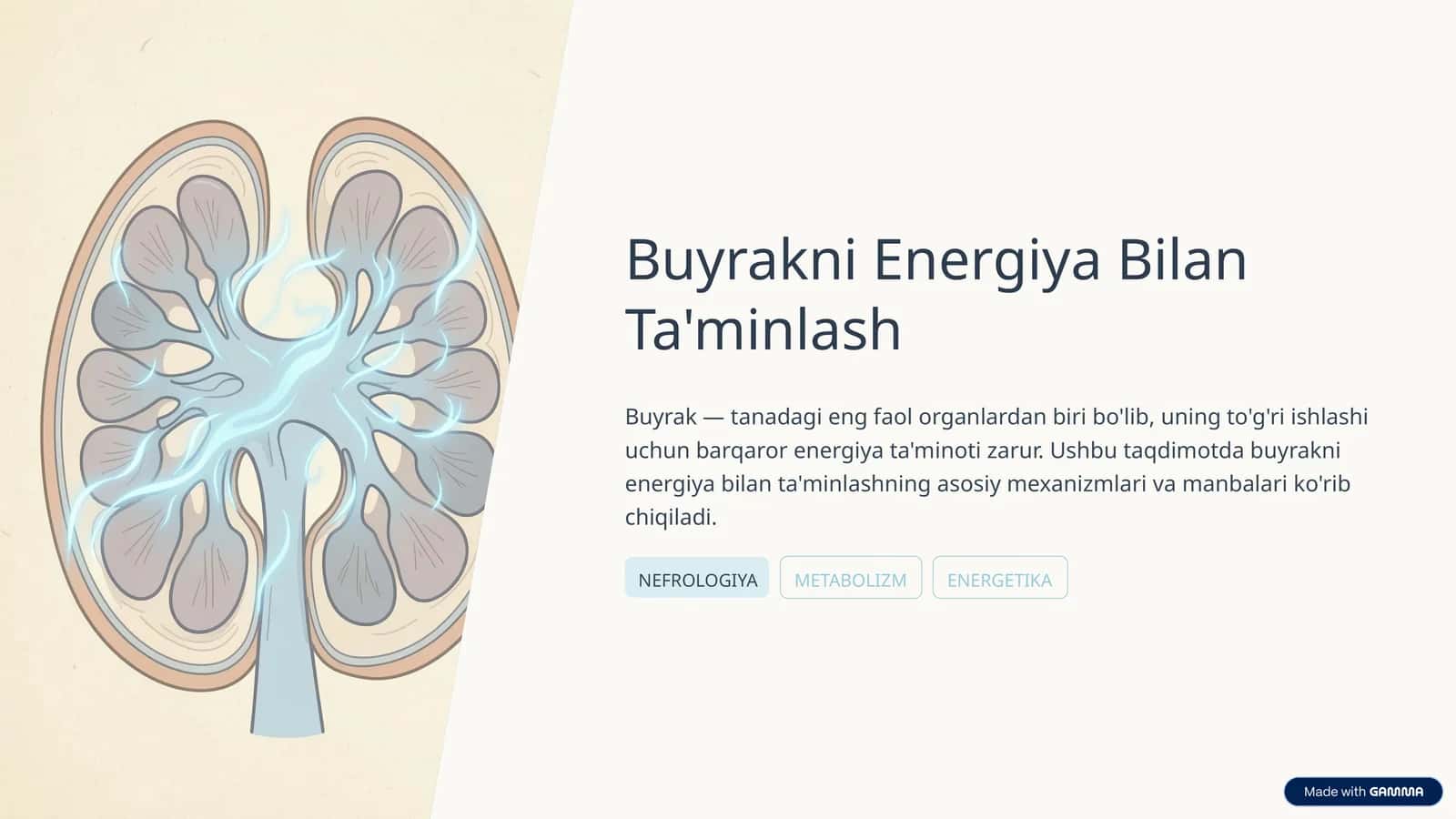 Buyrakni Energiya Bilan Ta'minlash
