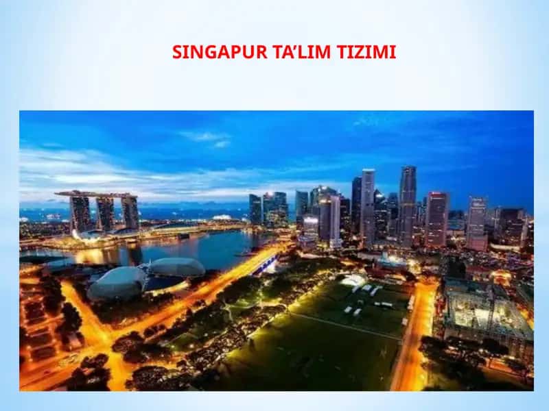 Singapur ta'lim tizimi