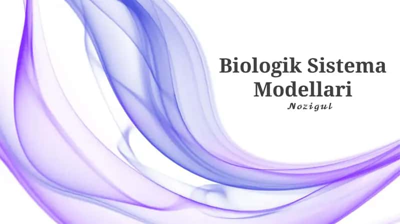 Biologik Sistema Modellari