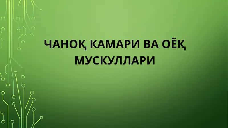чаноқ камари ва оёқ мускуллари