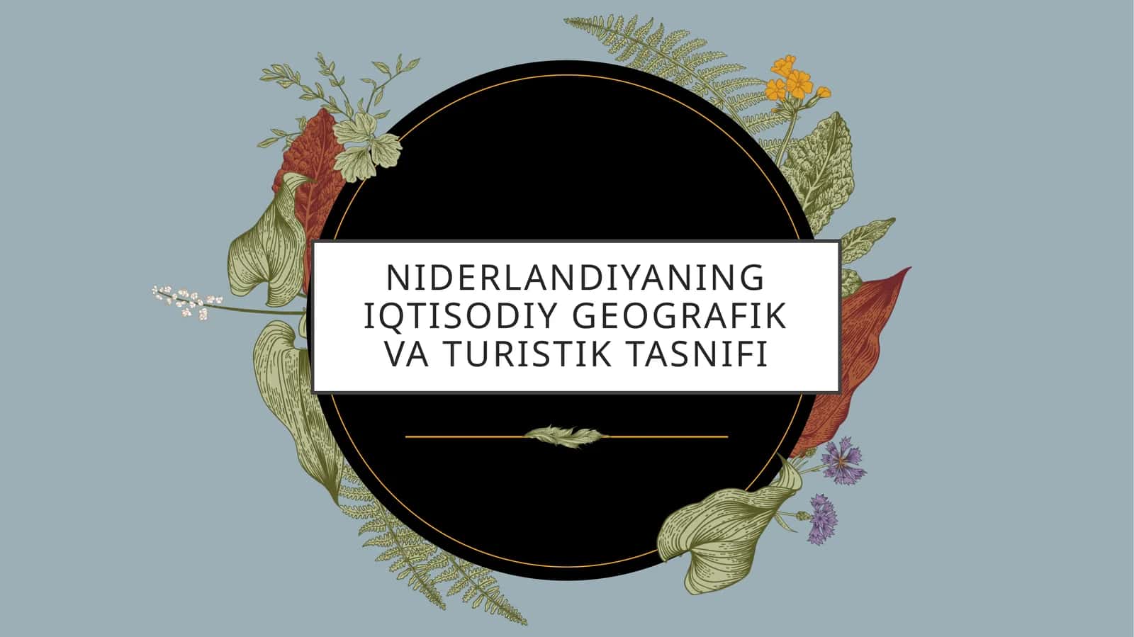 Niderlandiyaning iqtisodiy geografiyasi
