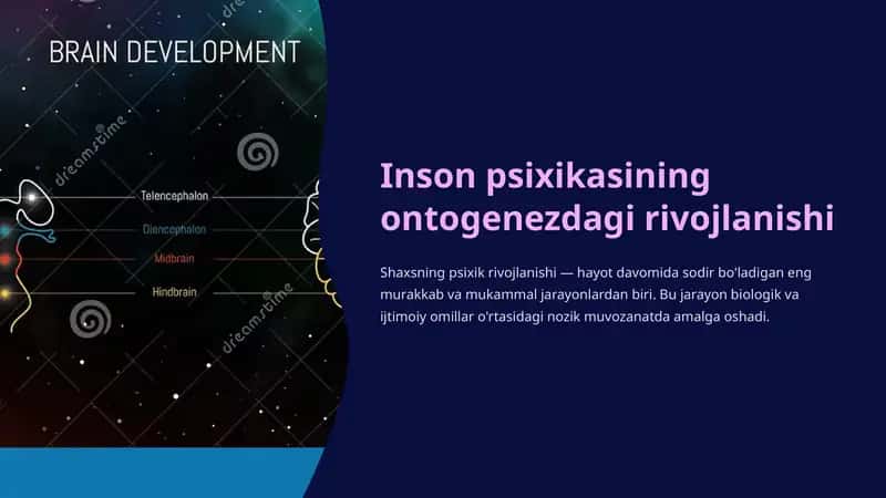 Inson psixikasining ontogenezdagi rivojlanishi