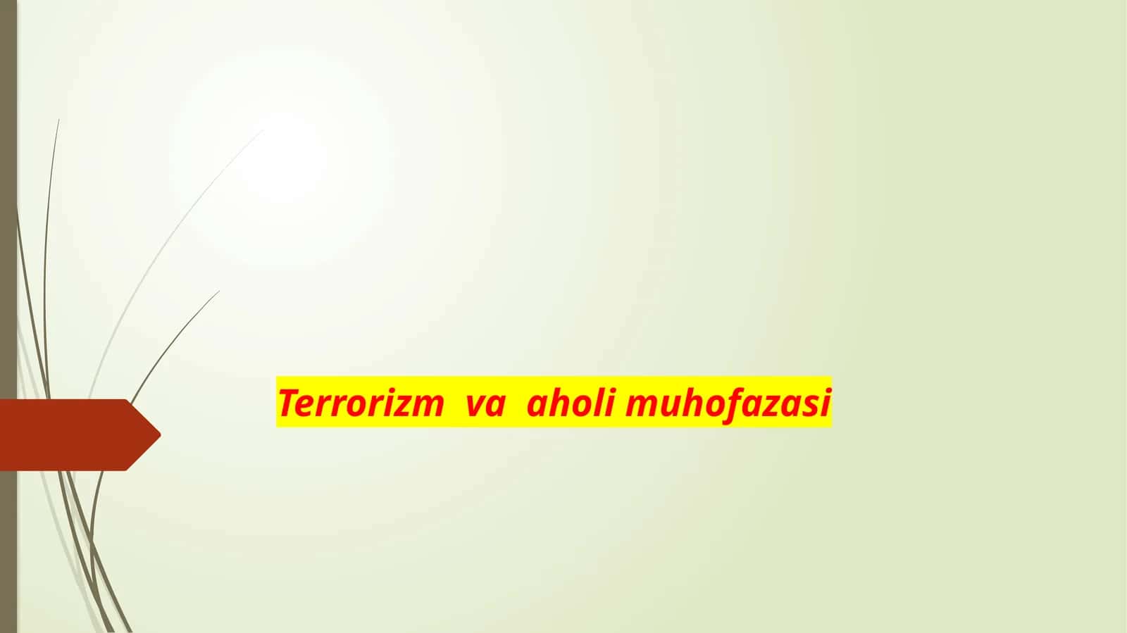 Terrorizm va aholi muhofazasi
