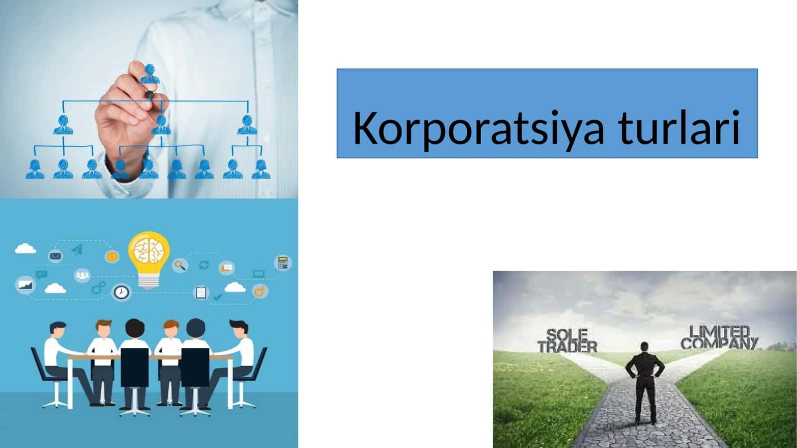 Korporatsiya turlari