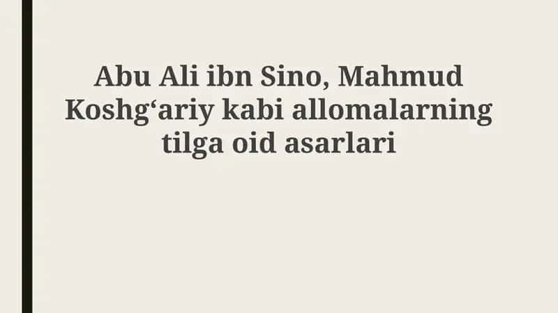 Abu Ali ibn Sino, Mahmud Koshgʻariyning tilga oid asarlari
