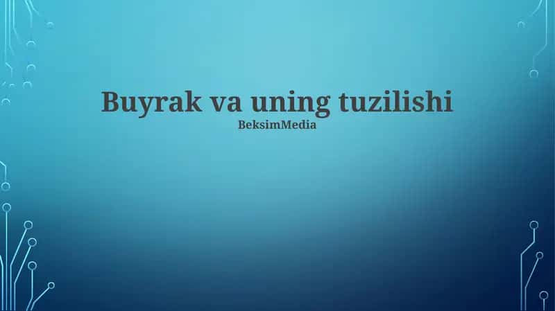 Buyrak va uning tuzilishi