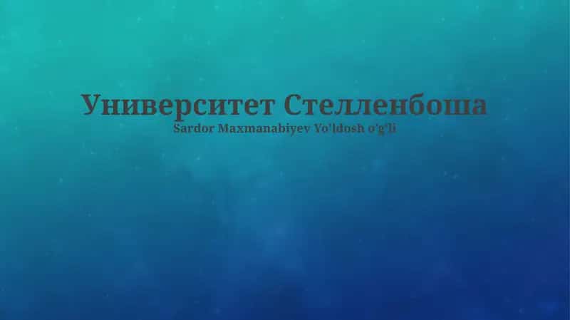 Университет Стелленбоша