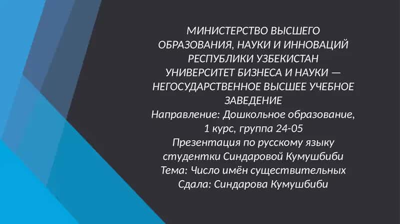 Презентация по русскому языку студентки Синдаровой Кумушбиби