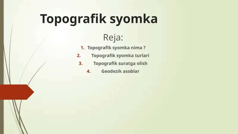 Topografiksyomka