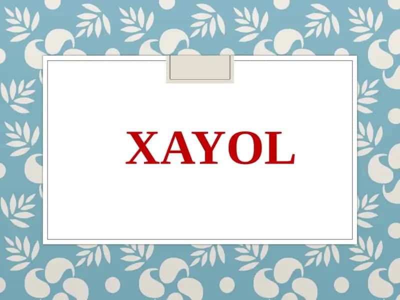 Xayol