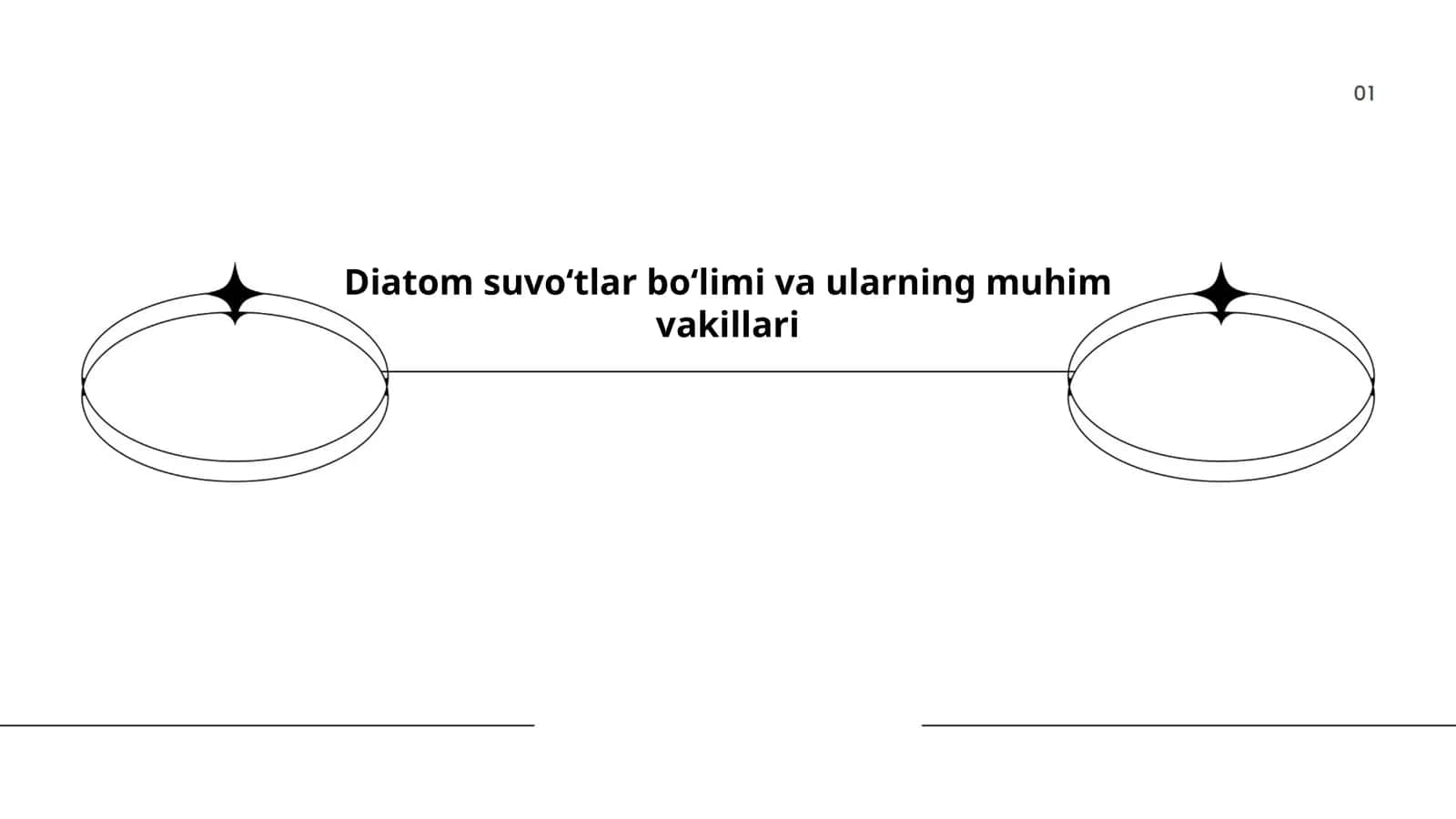 Diatom suvoʻtlar boʻlimi va ularning muhim vakillari