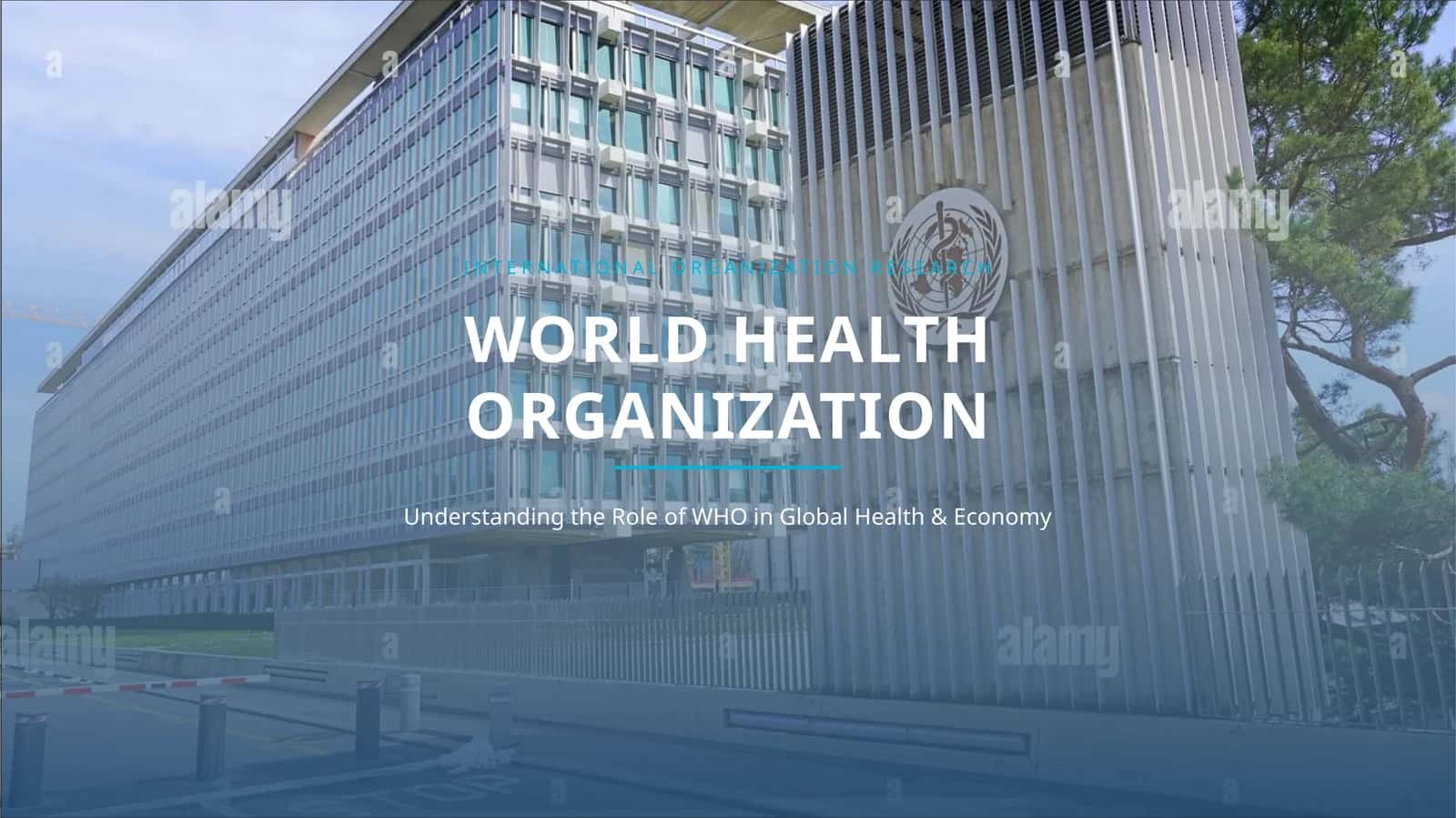 Understanding the Role of WHO in Global Health & Economy