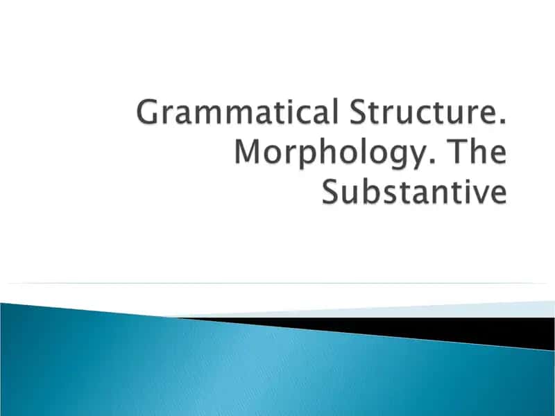 Three grammatical categories in OE substantives