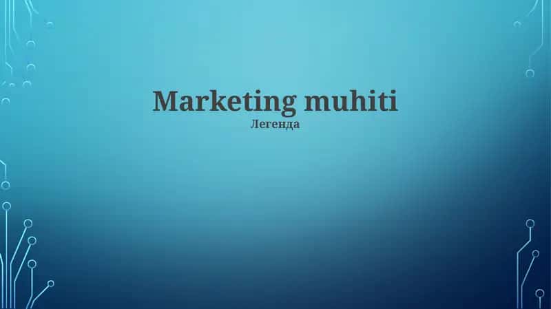 Marketing muhiti