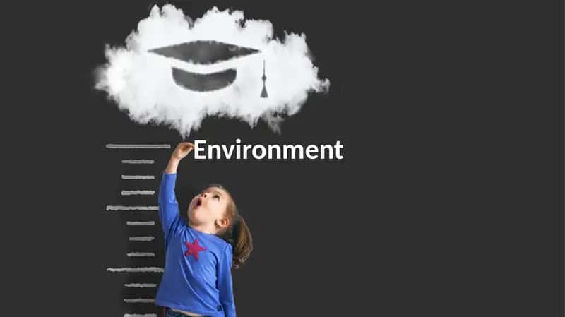 Understanding Our Environment